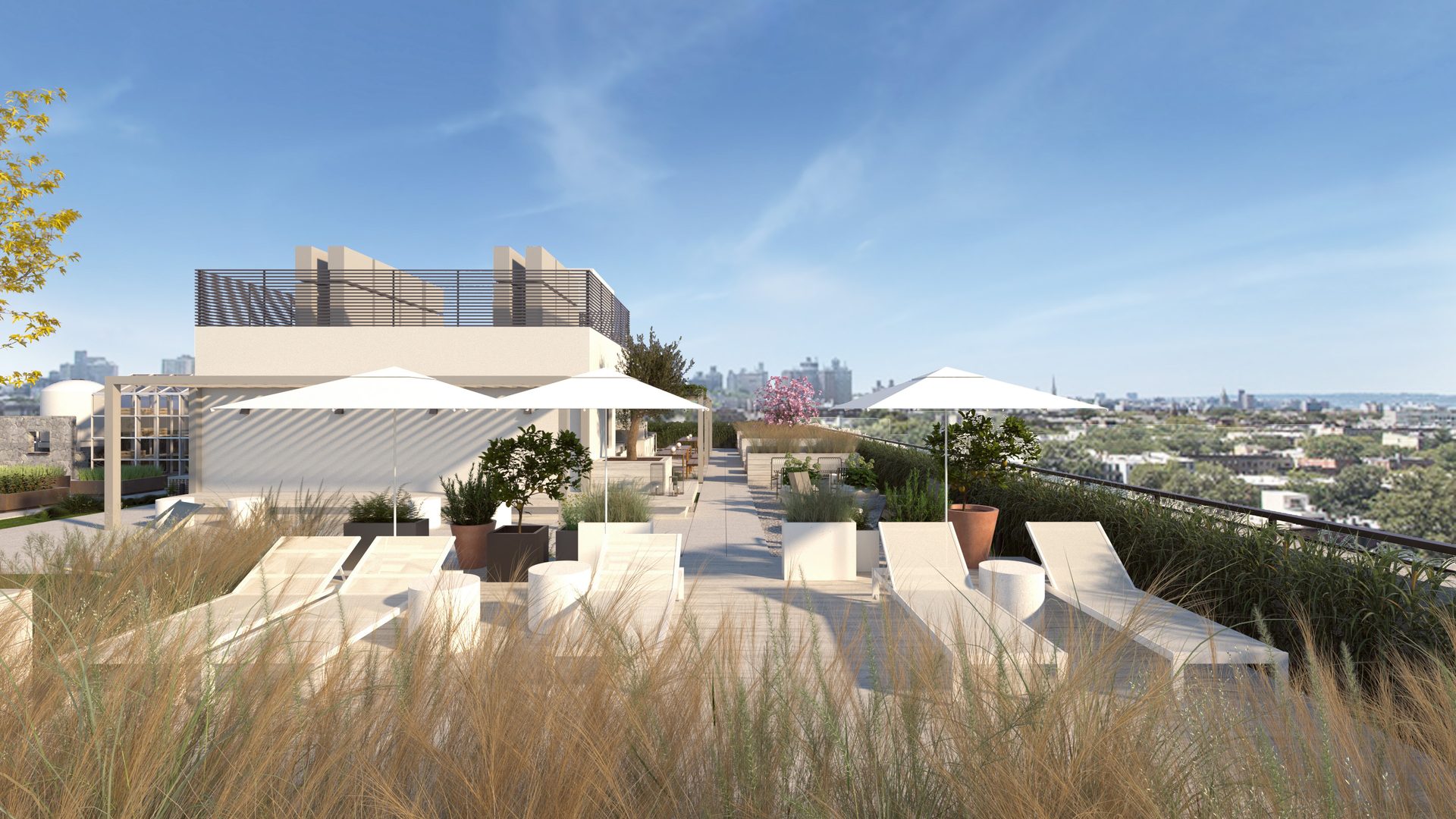 406 Lefferts Square — view 20